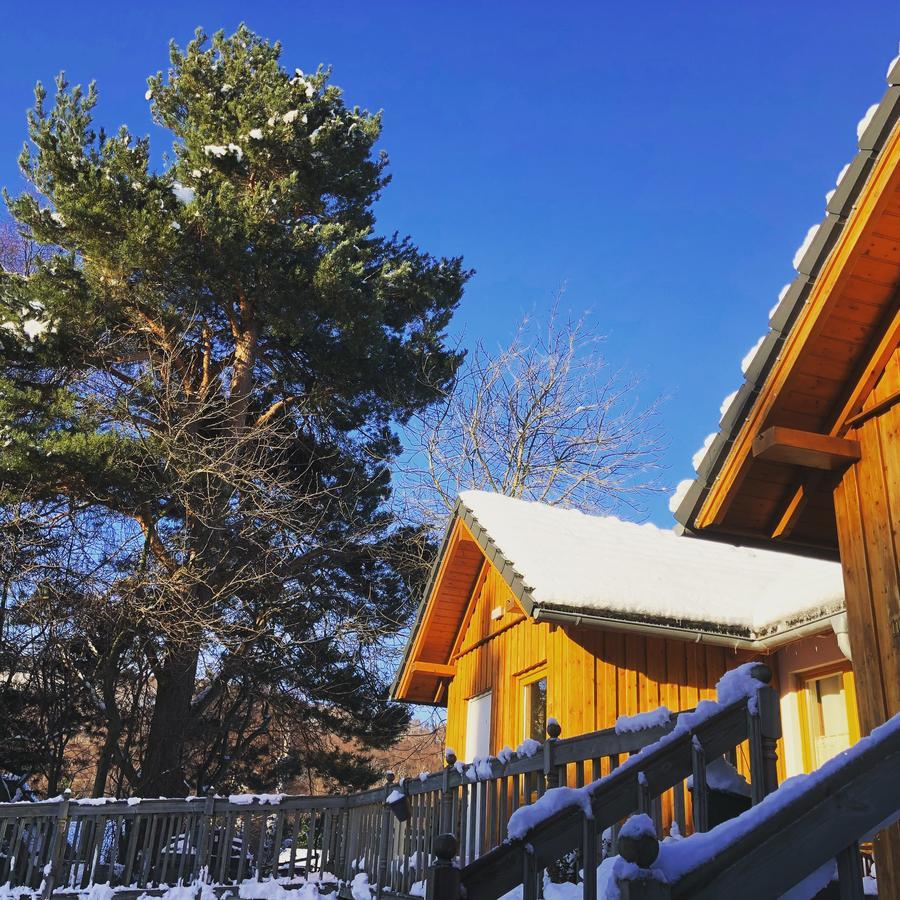 Ravenscraig Guest House Aviemore Exterior photo