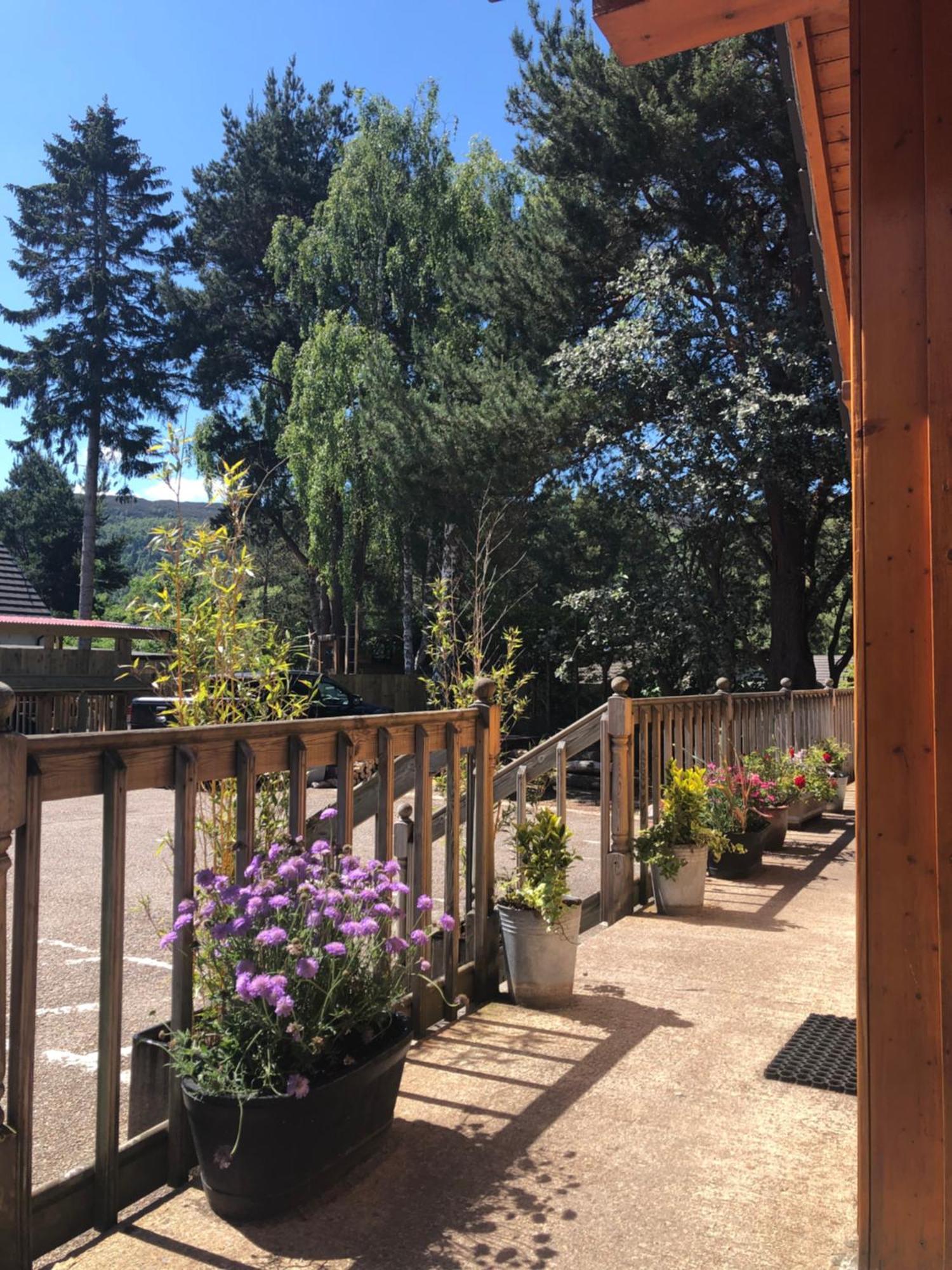 Ravenscraig Guest House Aviemore Exterior photo